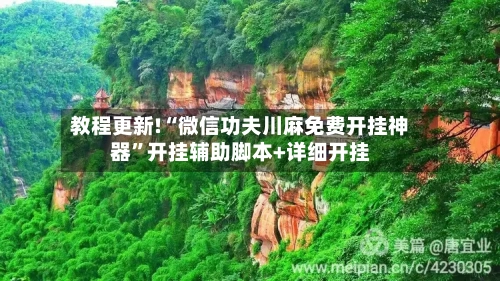 教程更新!“微信功夫川麻免费开挂神器”开挂辅助脚本+详细开挂-第1张图片