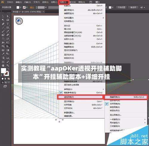 实测教程“aapOKer透视开挂辅助脚本”开挂辅助脚本+详细开挂-第2张图片