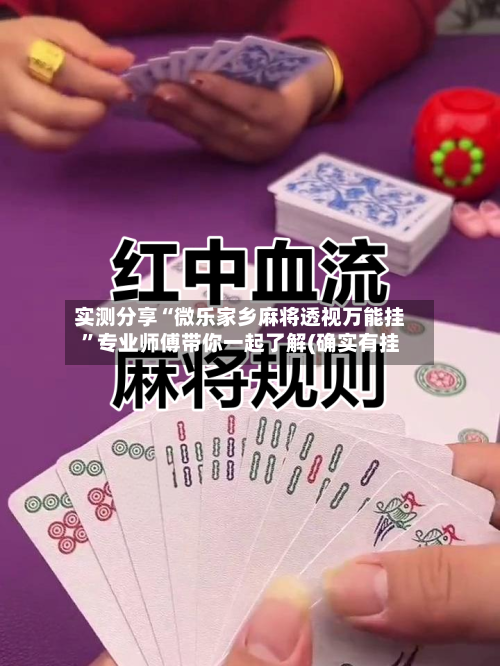 实测分享“微乐家乡麻将透视万能挂”专业师傅带你一起了解(确实有挂-第2张图片