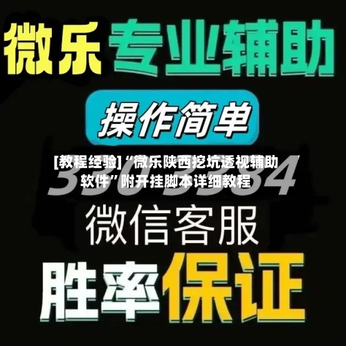 [教程经验]“微乐陕西挖坑透视辅助软件	”附开挂脚本详细教程-第1张图片