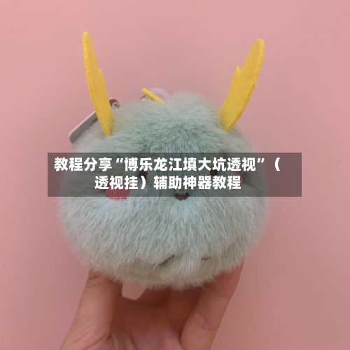 教程分享“博乐龙江填大坑透视	”（透视挂）辅助神器教程-第1张图片