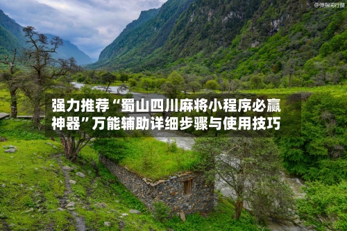 强力推荐“蜀山四川麻将小程序必赢神器	”万能辅助详细步骤与使用技巧-第2张图片