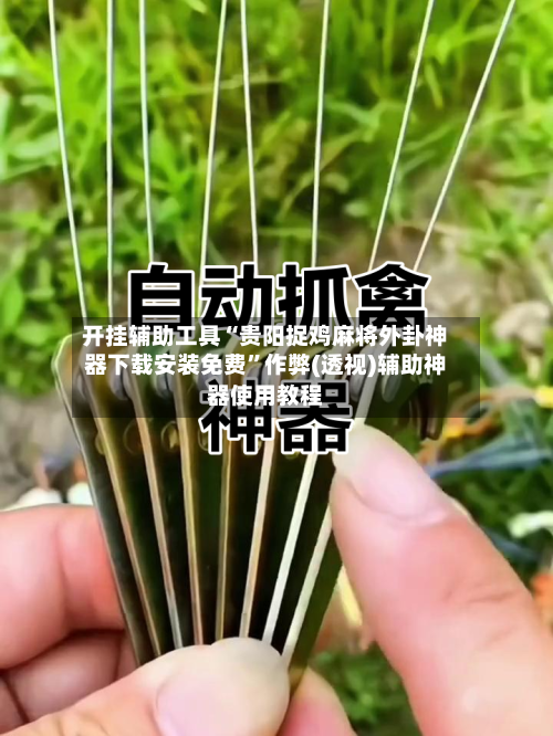 开挂辅助工具“贵阳捉鸡麻将外卦神器下载安装免费”作弊(透视)辅助神器使用教程-第2张图片
