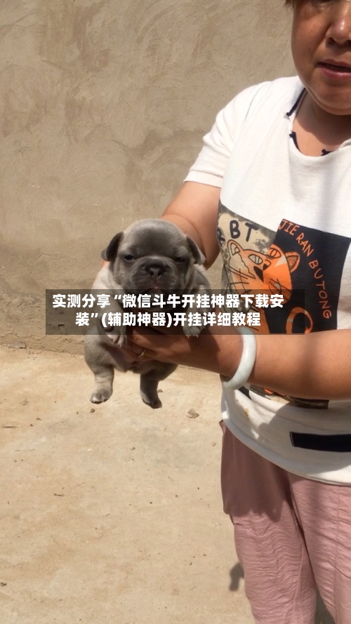 实测分享“微信斗牛开挂神器下载安装	”(辅助神器)开挂详细教程-第1张图片