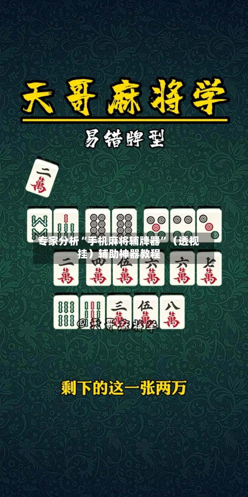 专家分析“手机麻将辅牌器”（透视挂）辅助神器教程-第3张图片