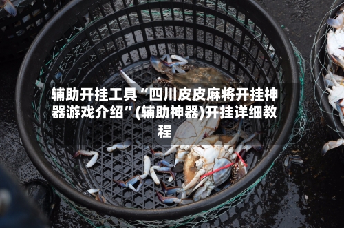 辅助开挂工具“四川皮皮麻将开挂神器游戏介绍”(辅助神器)开挂详细教程-第3张图片