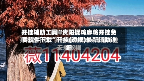 开挂辅助工具“贵阳捉鸡麻将开挂免费软件下载”开挂(透视)最新辅助详细-第2张图片