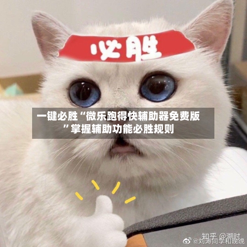 一键必胜“微乐跑得快辅助器免费版”掌握辅助功能必胜规则-第3张图片