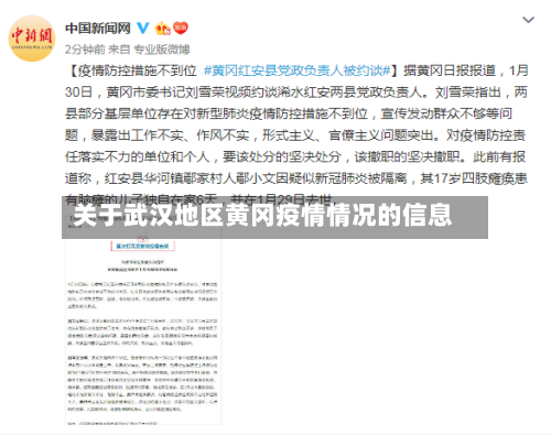关于武汉地区黄冈疫情情况的信息-第3张图片