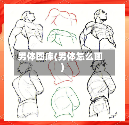 男体图库(男体怎么画)-第1张图片