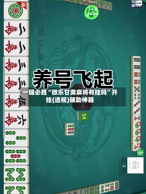 一键必胜“微乐甘肃麻将有挂吗”开挂(透视)辅助神器-第3张图片