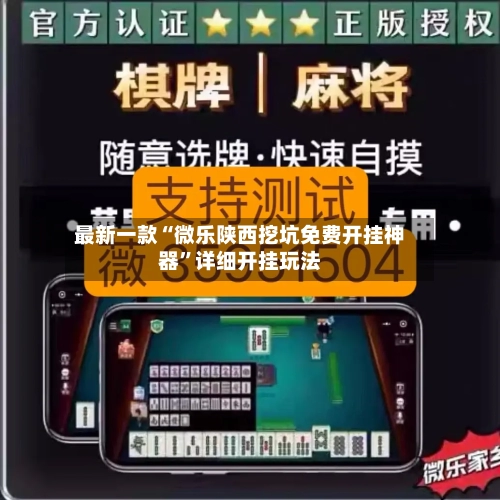 最新一款“微乐陕西挖坑免费开挂神器”详细开挂玩法-第1张图片