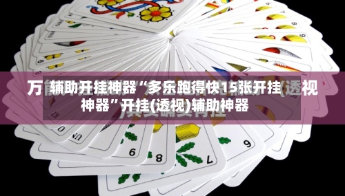辅助开挂神器“多乐跑得快15张开挂神器”开挂(透视)辅助神器-第3张图片