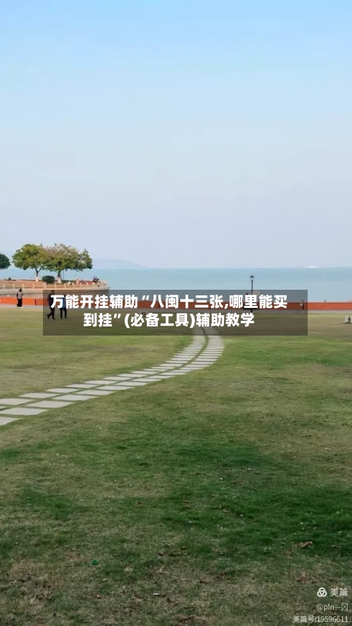 万能开挂辅助“八闽十三张,哪里能买到挂”(必备工具)辅助教学-第2张图片