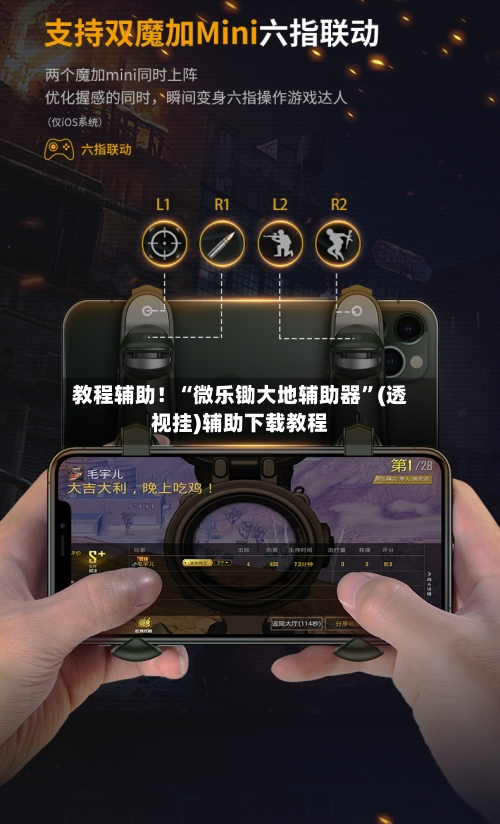 教程辅助！“微乐锄大地辅助器”(透视挂)辅助下载教程-第3张图片