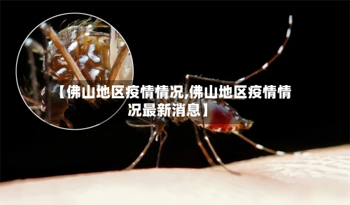 【佛山地区疫情情况,佛山地区疫情情况最新消息】-第1张图片