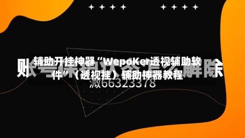 辅助开挂神器“WepoKer透视辅助软件”（透视挂）辅助神器教程-第2张图片