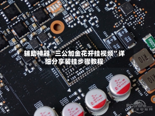 辅助神器“三公加金花开挂视频	”详细分享装挂步骤教程-第2张图片