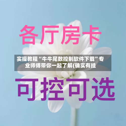 实操教程“牛牛尾数控制软件下载	”专业师傅带你一起了解(确实有挂-第1张图片