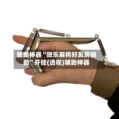 辅助神器“微乐麻将好友房辅助	”开挂(透视)辅助神器-第2张图片