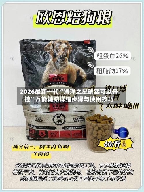 2026最新一代“海洋之星确实可以开挂	”万能辅助详细步骤与使用技巧-第1张图片