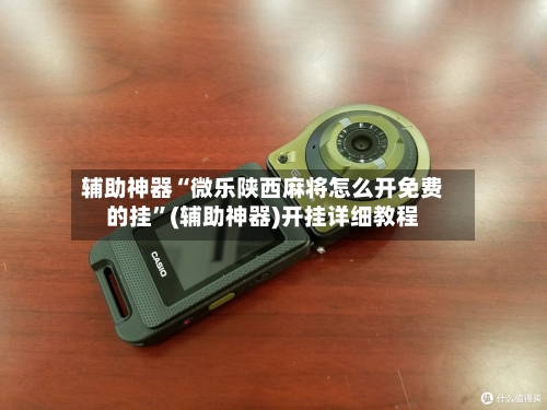 辅助神器“微乐陕西麻将怎么开免费的挂”(辅助神器)开挂详细教程-第3张图片