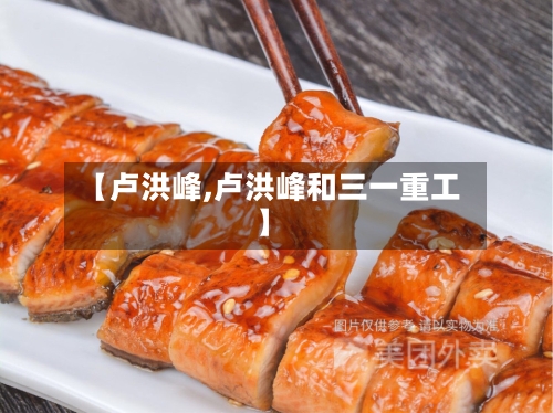 【卢洪峰,卢洪峰和三一重工】-第1张图片