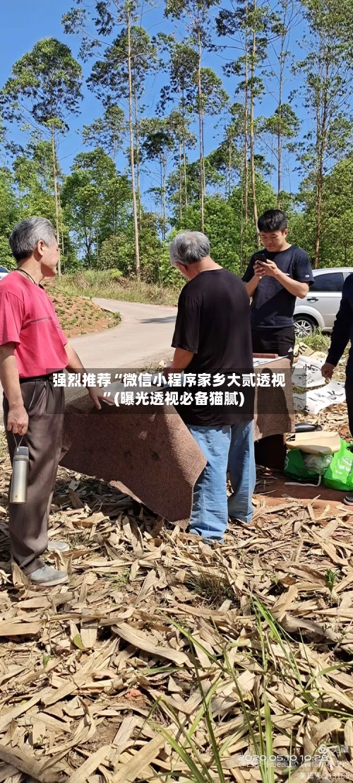 强烈推荐“微信小程序家乡大贰透视”(曝光透视必备猫腻)-第1张图片