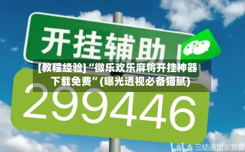 [教程经验]“微乐欢乐麻将开挂神器下载免费”(曝光透视必备猫腻)-第2张图片