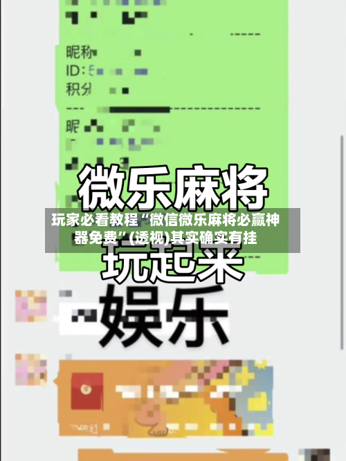 玩家必看教程“微信微乐麻将必赢神器免费”(透视)其实确实有挂-第1张图片