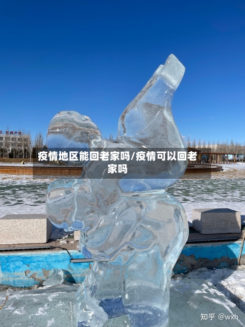 疫情地区能回老家吗/疫情可以回老家吗-第2张图片