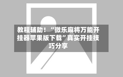 教程辅助！“微乐麻将万能开挂器苹果版下载”真实开挂技巧分享-第2张图片