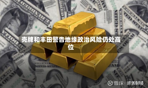 壳牌和丰田警告地缘政治风险仍处高位-第3张图片