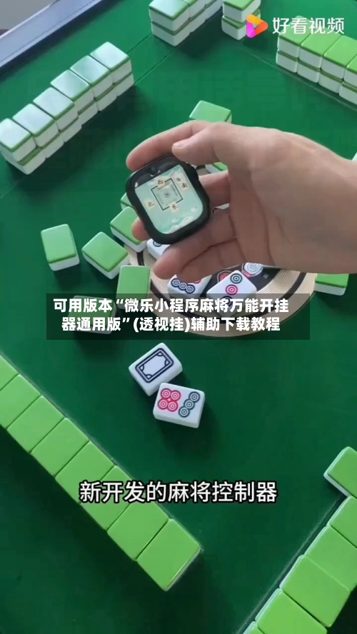 可用版本“微乐小程序麻将万能开挂器通用版”(透视挂)辅助下载教程-第2张图片