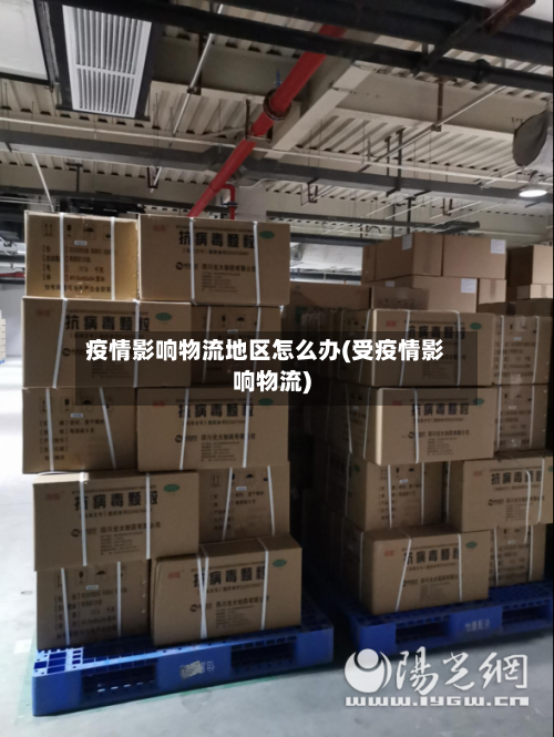 疫情影响物流地区怎么办(受疫情影响物流)-第1张图片