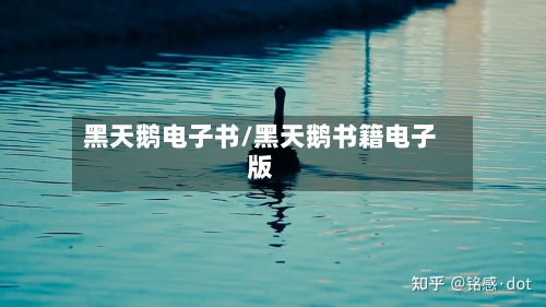 黑天鹅电子书/黑天鹅书籍电子版-第1张图片