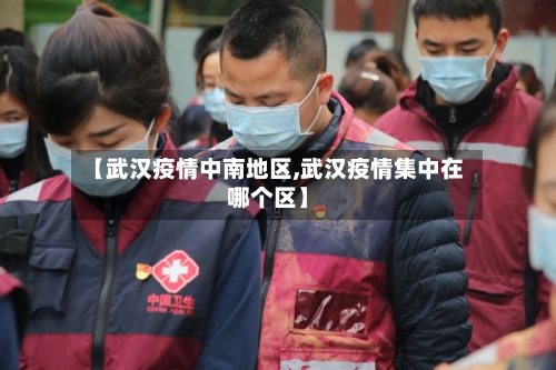 【武汉疫情中南地区,武汉疫情集中在哪个区】-第2张图片