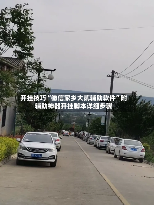 开挂技巧“微信家乡大贰辅助软件”附辅助神器开挂脚本详细步骤-第1张图片