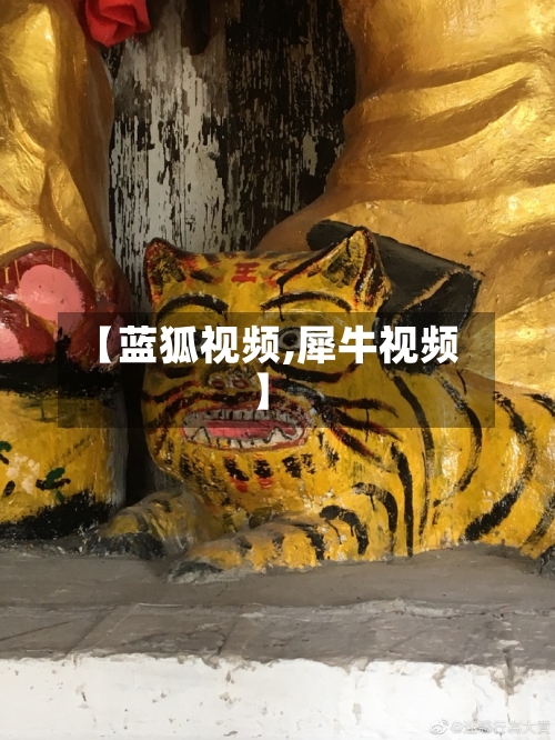 【蓝狐视频,犀牛视频】-第1张图片