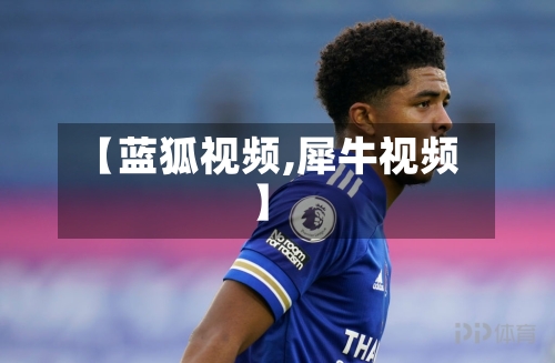 【蓝狐视频,犀牛视频】-第2张图片