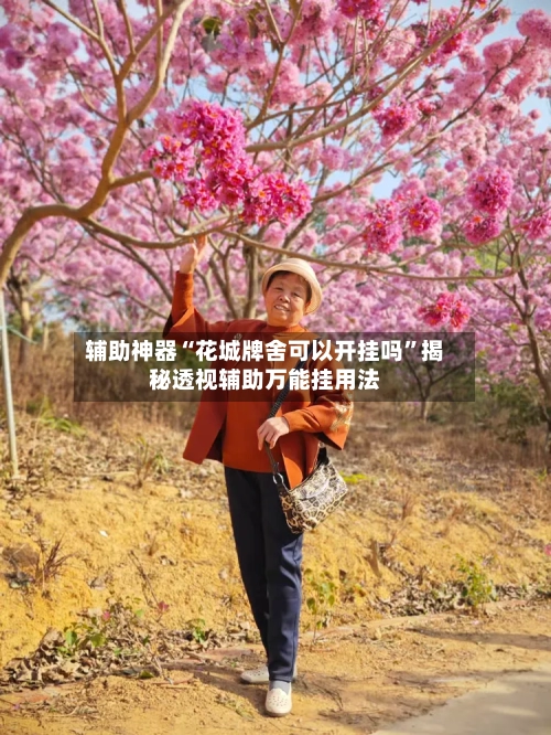 辅助神器“花城牌舍可以开挂吗”揭秘透视辅助万能挂用法-第3张图片