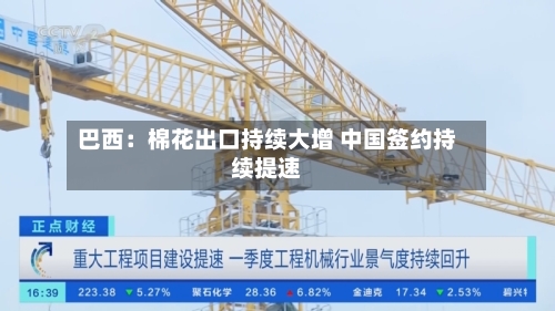 巴西:棉花出口持续大增 中国签约持续提速-第1张图片
