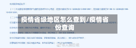 疫情省级地区怎么查到/疫情省份查询-第2张图片