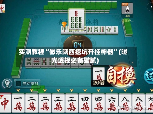 实测教程“微乐陕西挖坑开挂神器”(曝光透视必备猫腻)-第1张图片