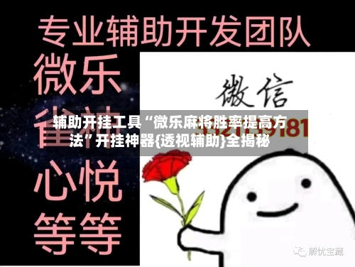 辅助开挂工具“微乐麻将胜率提高方法”开挂神器{透视辅助}全揭秘-第2张图片