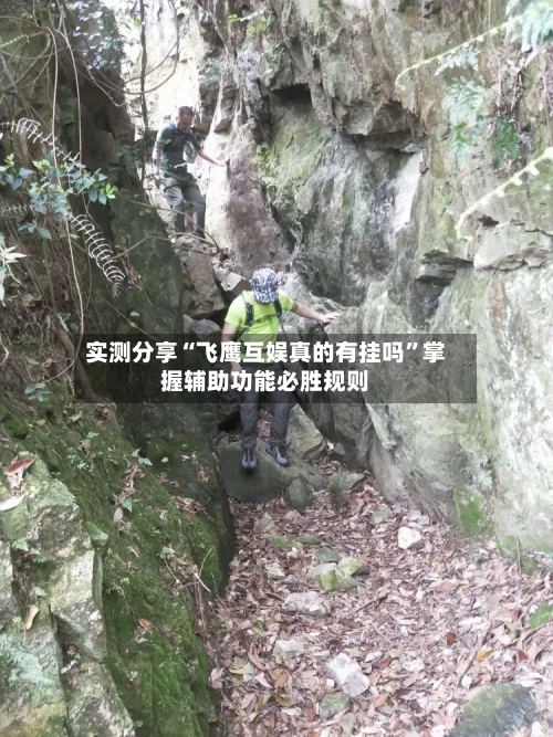 实测分享“飞鹰互娱真的有挂吗”掌握辅助功能必胜规则-第2张图片