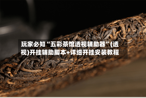 玩家必知“五彩茶馆透视辅助器”(透视)开挂辅助脚本+详细开挂安装教程-第3张图片
