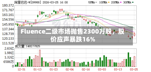 Fluence二级市场抛售2300万股，股价应声暴跌16%-第1张图片