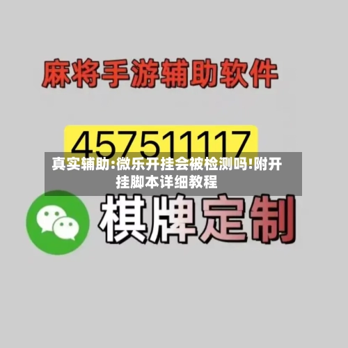 真实辅助:微乐开挂会被检测吗!附开挂脚本详细教程-第2张图片