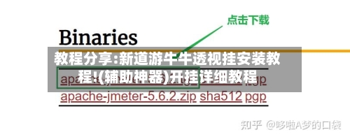 教程分享:新道游牛牛透视挂安装教程!(辅助神器)开挂详细教程-第3张图片